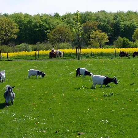Ferienwohnungen Auf Dem Ferienhof Sell Stoltebull Ngoại thất bức ảnh